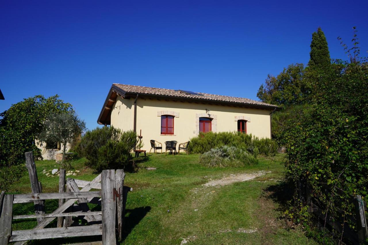 Agriturismo Il Sarale - Umbria チッタ・ディ・カステッロ エクステリア 写真