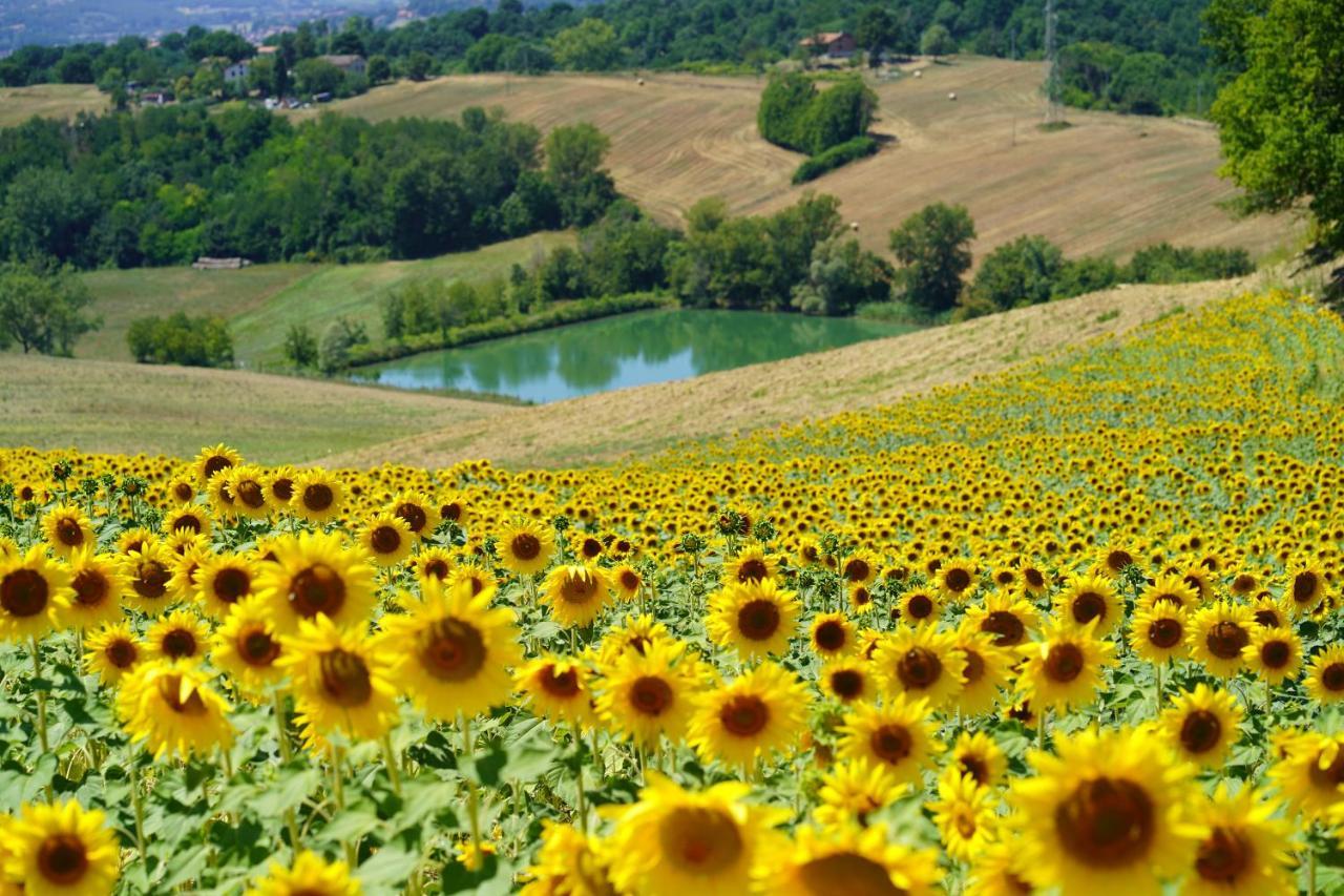 Agriturismo Il Sarale - Umbria チッタ・ディ・カステッロ エクステリア 写真