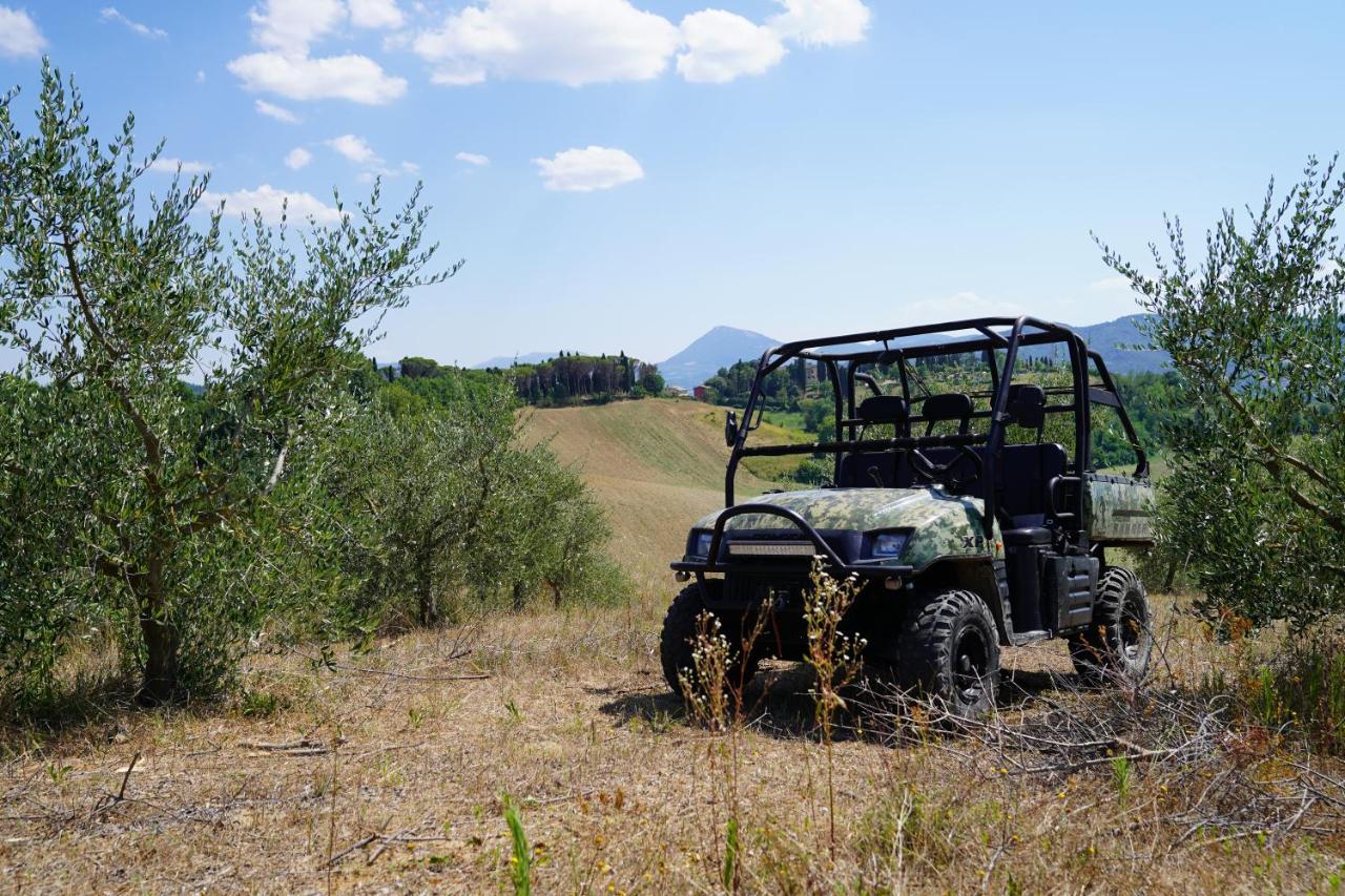 Agriturismo Il Sarale - Umbria チッタ・ディ・カステッロ エクステリア 写真