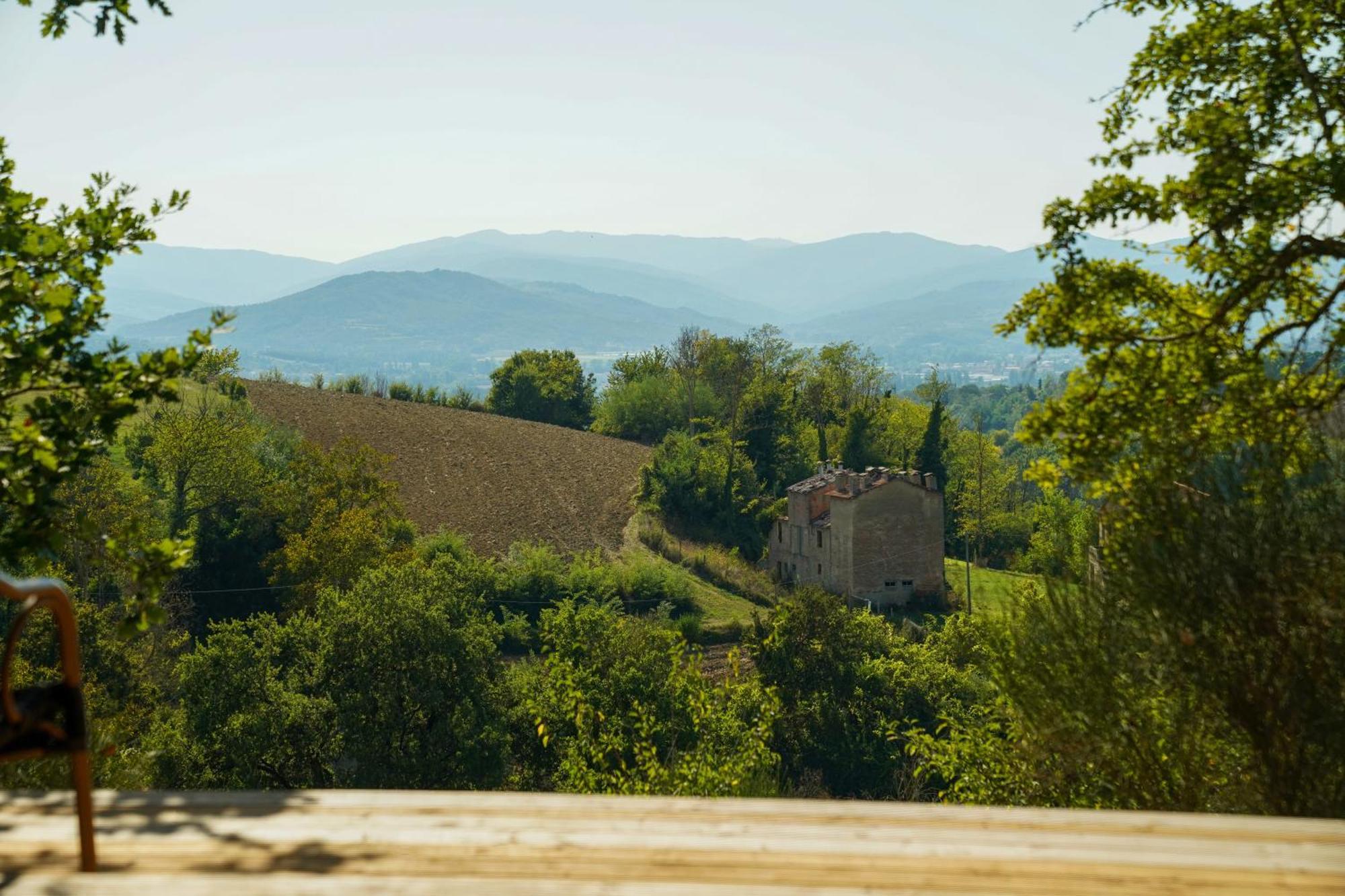 Agriturismo Il Sarale - Umbria チッタ・ディ・カステッロ エクステリア 写真