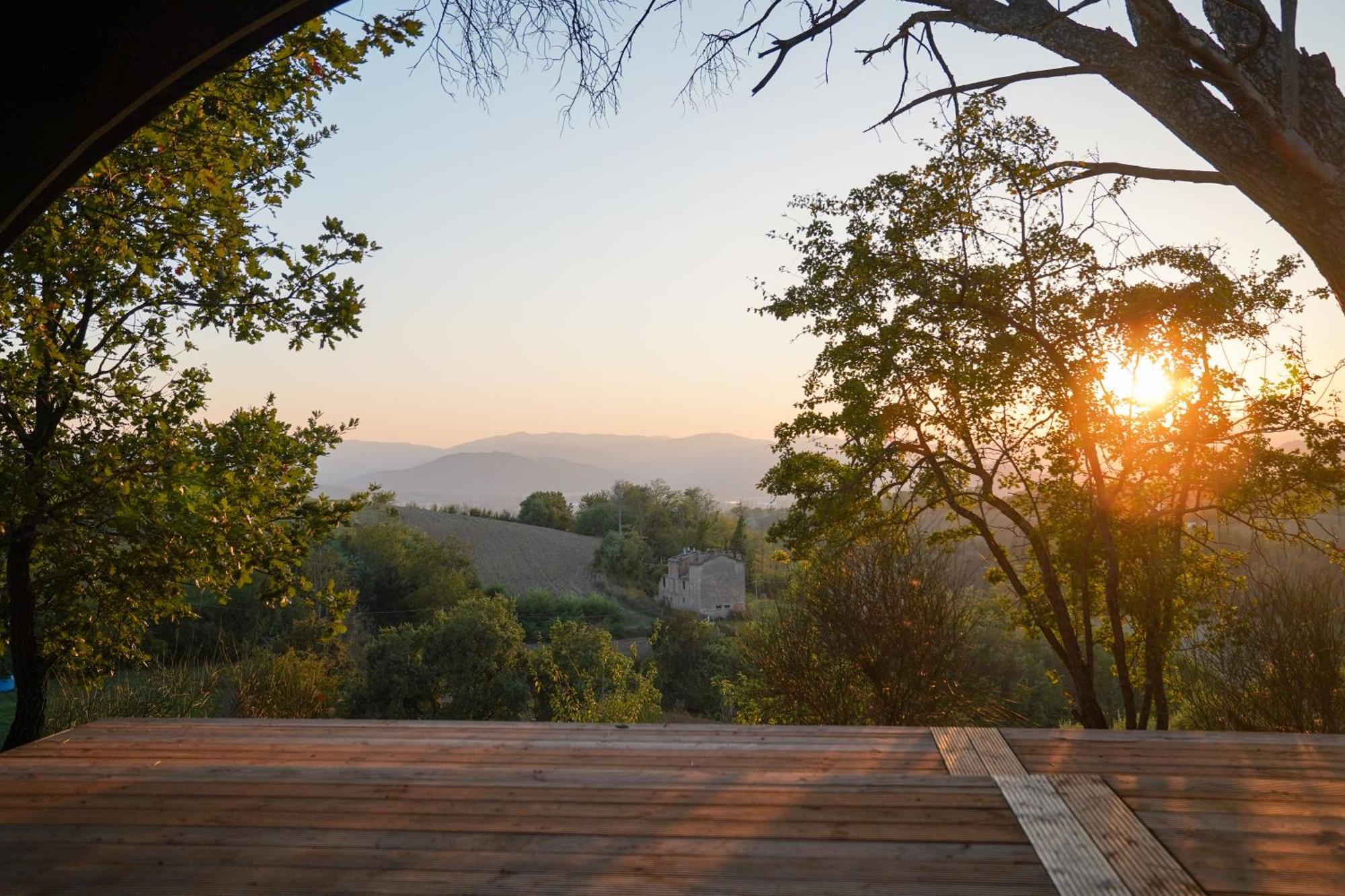 Agriturismo Il Sarale - Umbria チッタ・ディ・カステッロ エクステリア 写真